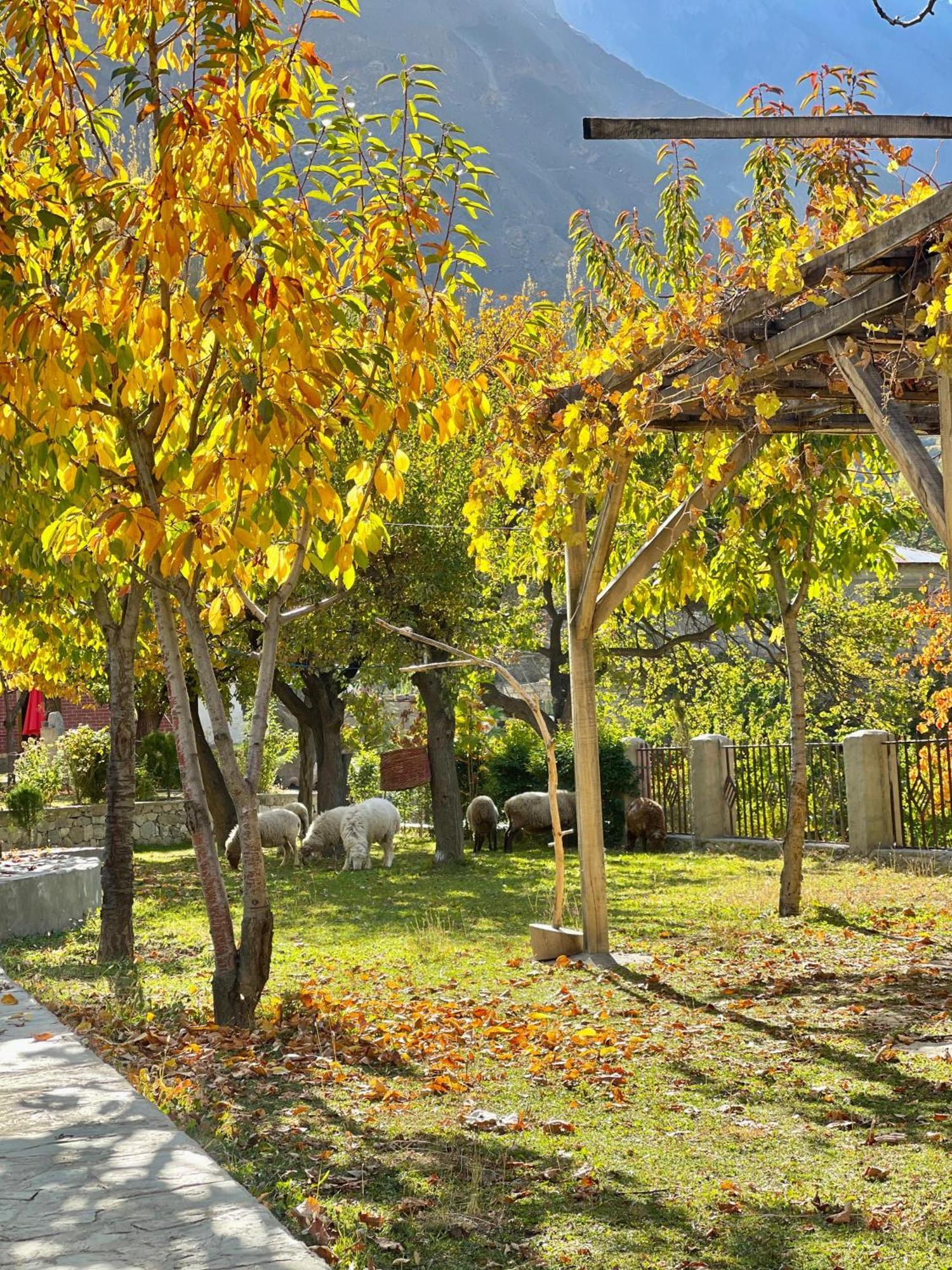 Dumani Nagar Hotel & Resort Karimabad  Екстер'єр фото