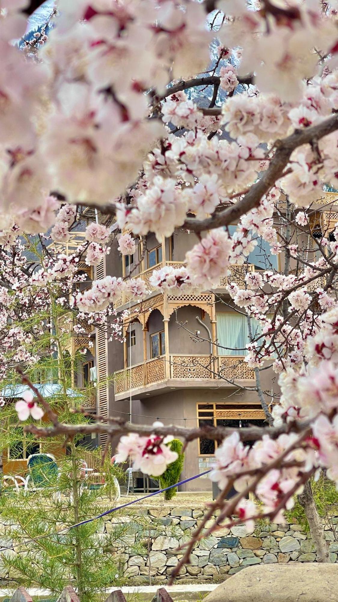 Dumani Nagar Hotel & Resort Karimabad  Екстер'єр фото