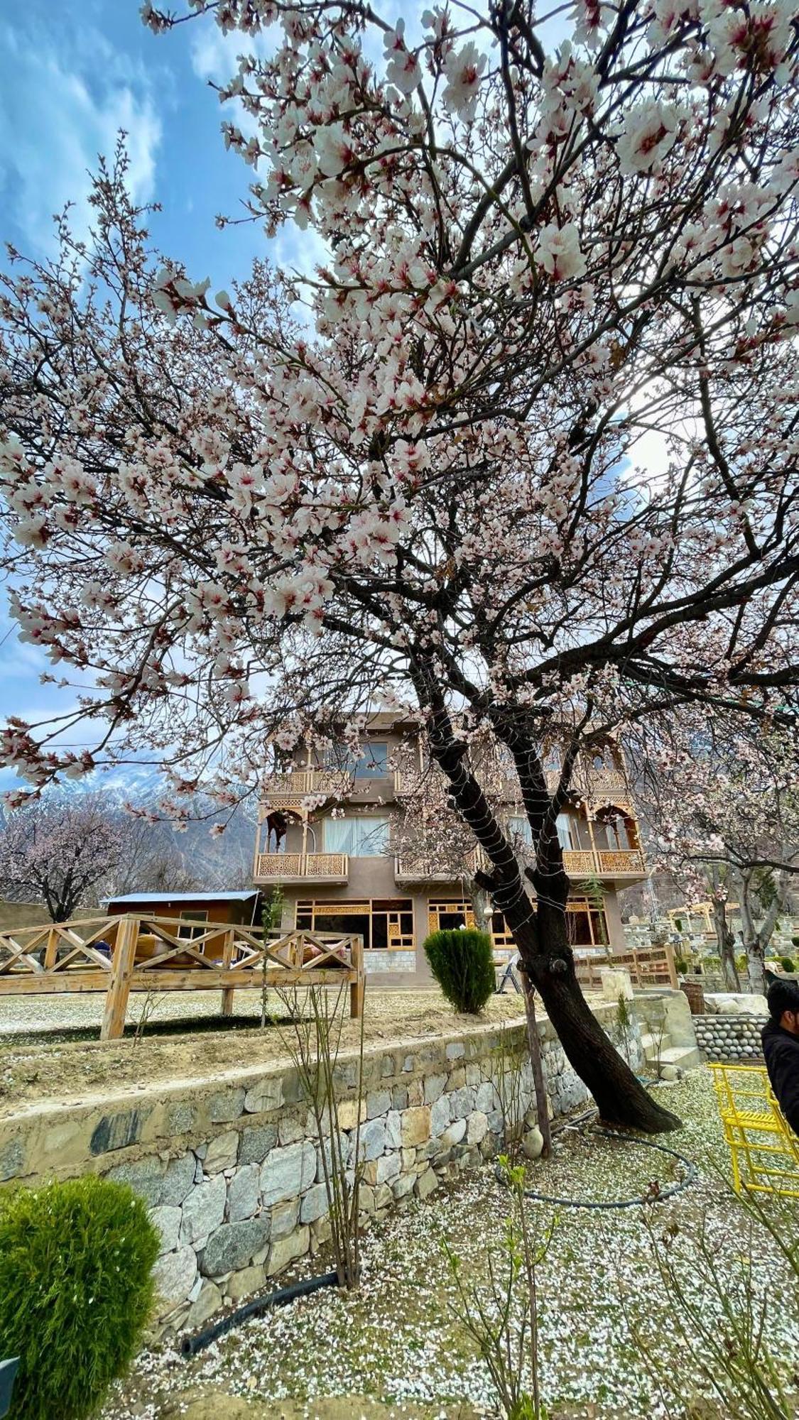 Dumani Nagar Hotel & Resort Karimabad  Екстер'єр фото